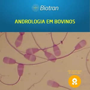 Imagem do curso Andrologia em Bovinos