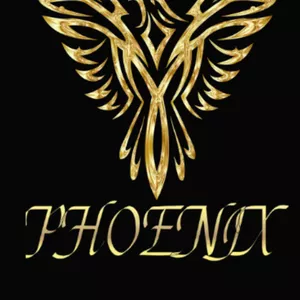A biografia do Rapper paulista Phoenix - robson santana fidelis | H...