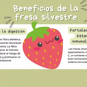 Imagen de portada para Curso online Planilla Semanal