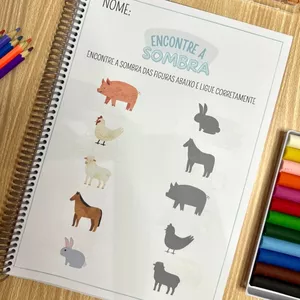 Imagem de capa para o Ebook Encontre a Sombra 