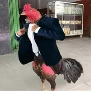 Imagen de portada para Curso online GANA DINERO DESDE CASA 