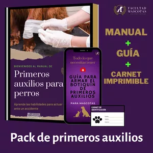 Imagen de portada para Ebook Primeros auxilios para perros