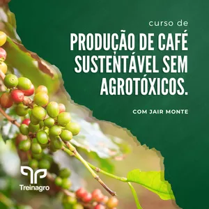 Imagem de Produção de café sustentável sem agrotóxicos criado por Crespo Produtos Digitais na hotmart