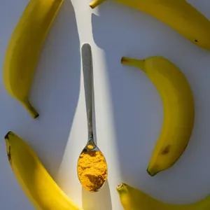 Imagen de portada para Curso online Truco Amazônico