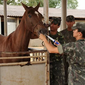 Imagem de capa para o Curso online Específica de Veterinária - EsFCEx