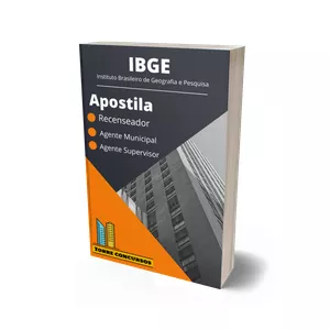 Imagem de capa para o Ebook Apostila IBGE-Recenseador e Agente