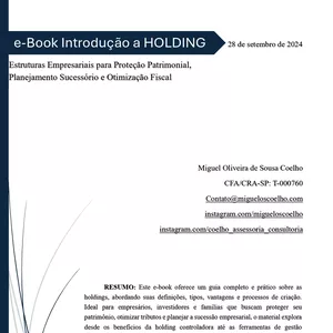 Imagem de capa para o Ebook e-Book Introdução a HOLDING