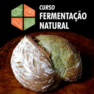 Imagem do curso Curso Fermentação Natural