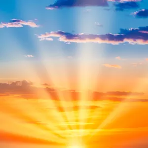 Imagen de portada para Curso online Formación en Bodhi Medicine 2024