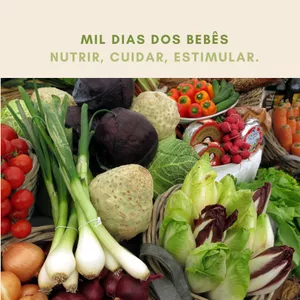 Imagem principal do produto INTRODUÇÃO ALIMENTAR - GUIA PRÁTICO BEBÊS DE 6 - 12 MESES