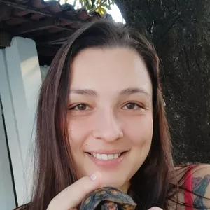 Imagem do curso Manejo e alimentação de quelônios terrestres (jabutis)