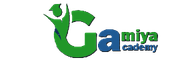 Gamiya Academy