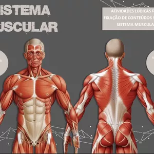 Imagem de capa para o Ebook SISTEMA MUSCULAR: Descubra esse Fascinante Mundo