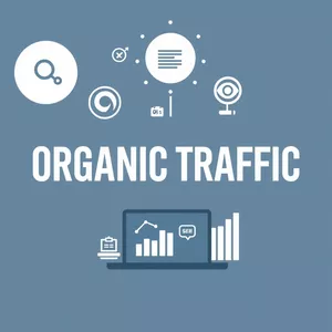 Imagem de capa para o Curso online   ₄Curso de Tráfego Orgânico