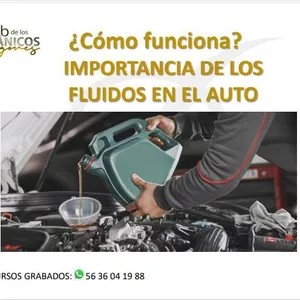 Imagen de portada para Curso online ¿Como funciona? IMPORTANCIA DE LOS FLUIDOS EN EL AUTO