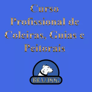Curso Curso Profissional de Coleiras, Guias e Peitorais
