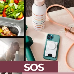 Imagem de capa para o Ebook Ebook "SOS ORGANIZAÇÃO"