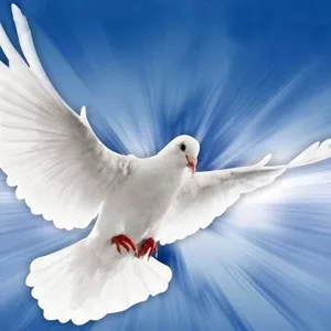 Imagem de capa para o Ebook enchei-vos do Espirito 