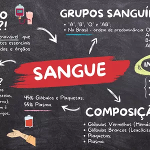 Imagem de capa para o Ebook SANGUE - MAPA MENTAL