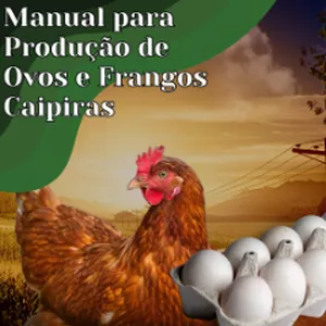 Imagem de capa para o Ebook Manual produção ovos e frangos caipiras