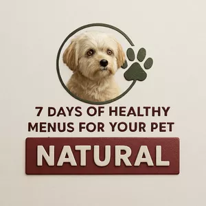 Cover image for Ebook 𝟕 𝒅𝒂𝒚𝒔 𝒐𝒇 𝒉𝒆𝒂𝒍𝒕𝒉𝒚 𝒓𝒆𝒄𝒊𝒑𝒆𝒔 𝒇𝒐𝒓 𝒚𝒐𝒖𝒓&nbsp;𝒑𝒆𝒕𝒔&nbsp;🐶