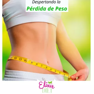 Imagen de portada para Ebook Programa de despertar de la pérdida de peso.