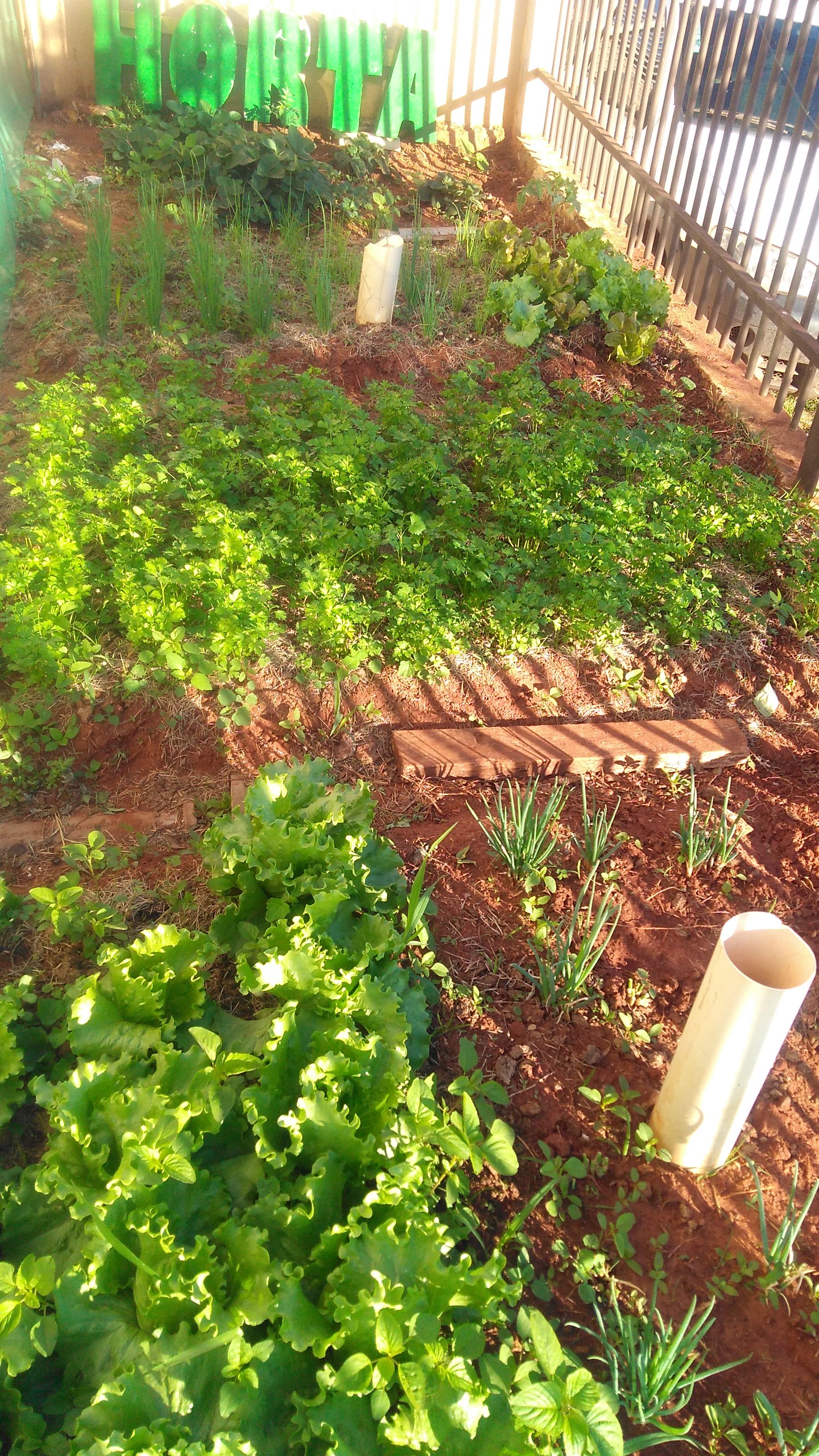 Imagem do curso Horta Organica do zero