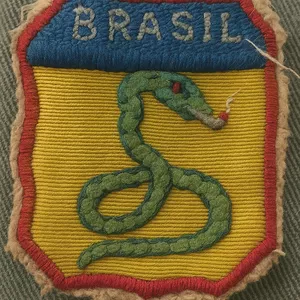 Imagem de capa para o Ebook Os Ex-combatentes de Mar de Espanha-MG