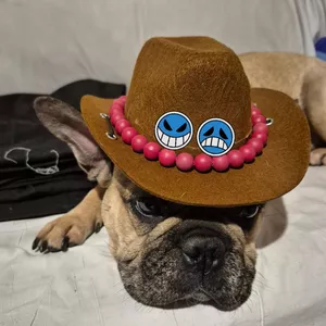 Imagen de portada para Ebook Pilares del Alma