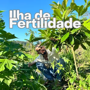 Imagem de capa para o Curso online CURSO DE ILHA DE FERTILIDADE