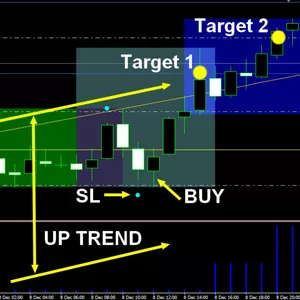 Imagem de capa para o Curso online Indicador  Forex 