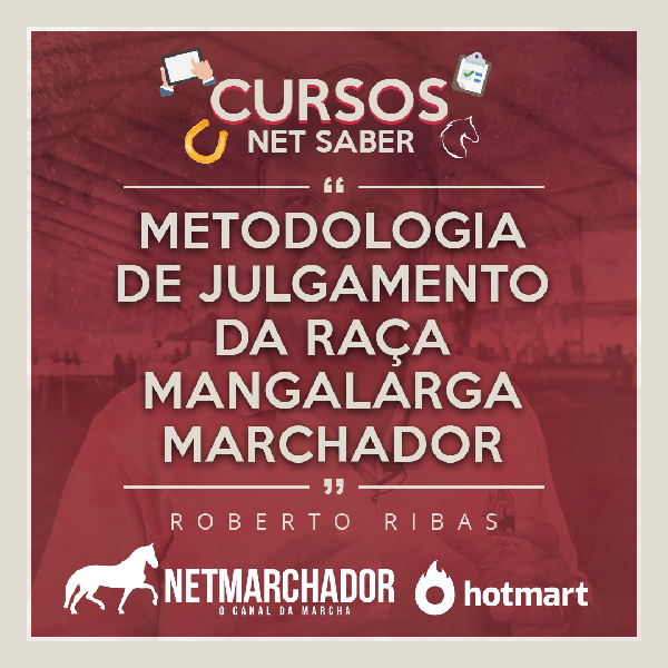 Capa do curso 