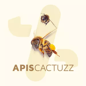 Imagem do curso APISCACTUZZ - Mais que criar abelhas, fazer de seu negócio um sucesso.