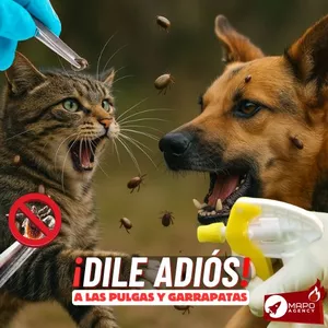 Imagen de portada para Curso online Recetario natural para exterminar pulgas y garrapatas - Ebook