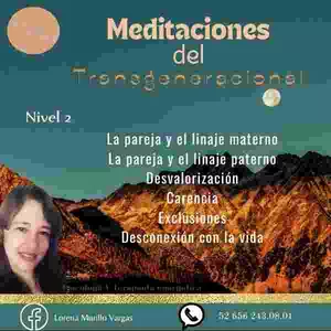 Imagen de portada para Curso online MEDITACIONES DEL TRANSGENERACIONAL (NIVEL 2)