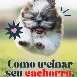 Imagem de capa para o Ebook Como treinar seu cachorro