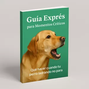 Imagen de portada para Curso online La guía rápida que todos quieren tener lista para emergencias de ladridos