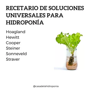 Imagen de portada para Ebook RECETARIO DE SOLUCIONES NUTRITIVAS PARA HIDROPONIA
