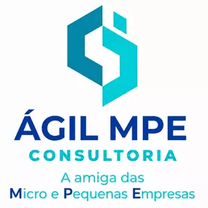 Imagem de Site Institucional Personalizado para Sua Empresa criado por Ágil MPE Consultoria na hotmart