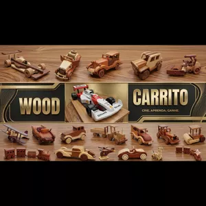 Imagem do curso Mestre Wood Carrito Completo  c/30 modelos