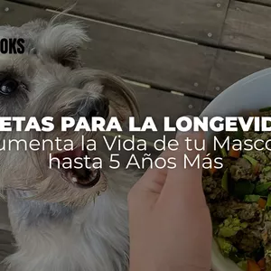 Imagen de portada para Curso online Pack de eBooks "Recetas para la Longevidad: Aumenta la Vida de tu Mascota hasta 5 Años Más"