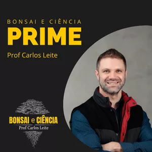 Imagem de capa para o Curso online Bonsai e Ciência PRIME