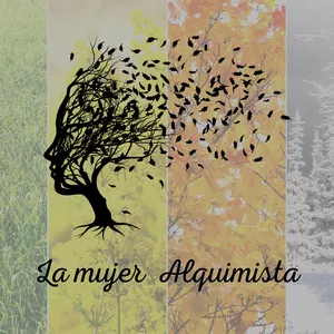 Imagen de portada para Curso online La Mujer alquimista