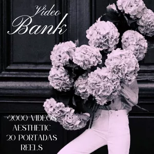 Imagen de portada para Ebook Video Bank
