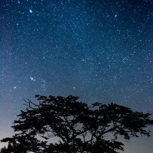 Imagem do curso Astrofotografia de Paisagem - curso online