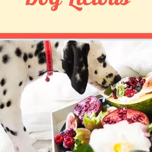 Imagem de capa para o Ebook Dog'Licious - comida caseira pro seu melhor amigo