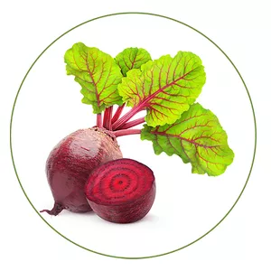 Cover image for Ebook The Premium Beetroot Hack