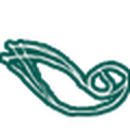 EcoYogaTherapy logo