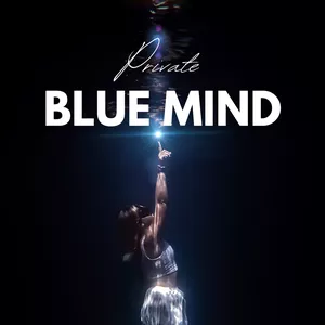 Imagen de portada para Curso online Programa BLUE MIND Privado