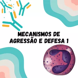 Imagem de capa para o Ebook Resumo MAD 1